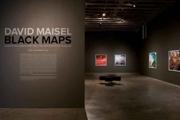 دیوید مایسل