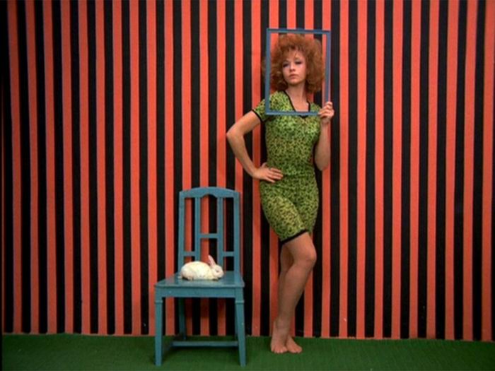 اسرار ارگانیسم 1971 اسرار ارگانیسم 1971